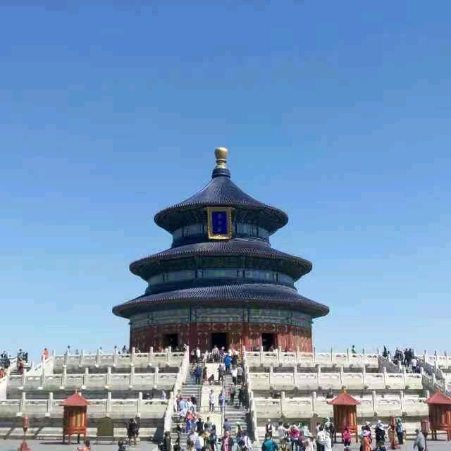 本分自医+haitianyis