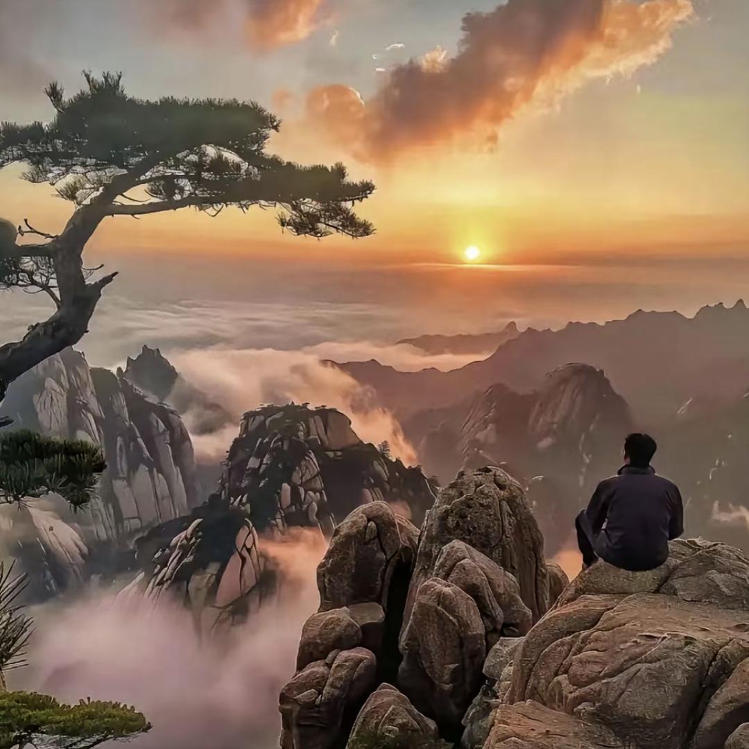 麻雀