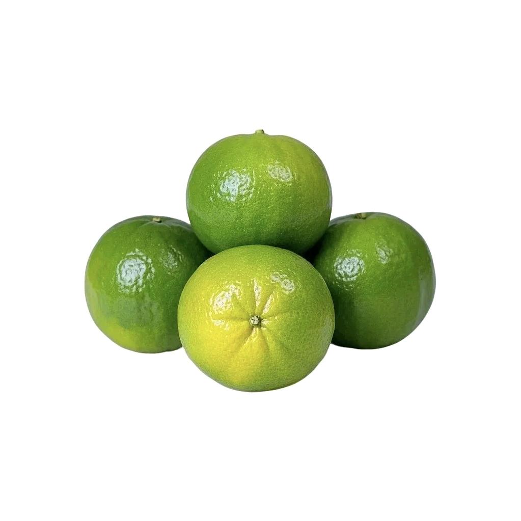 橘子真甜哒🍊