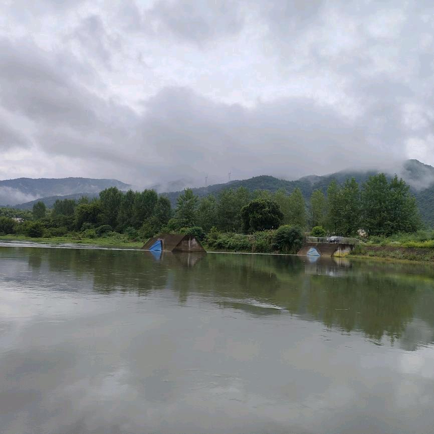 浪迹天涯