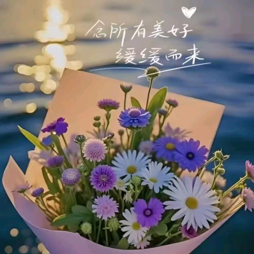 忘忧草