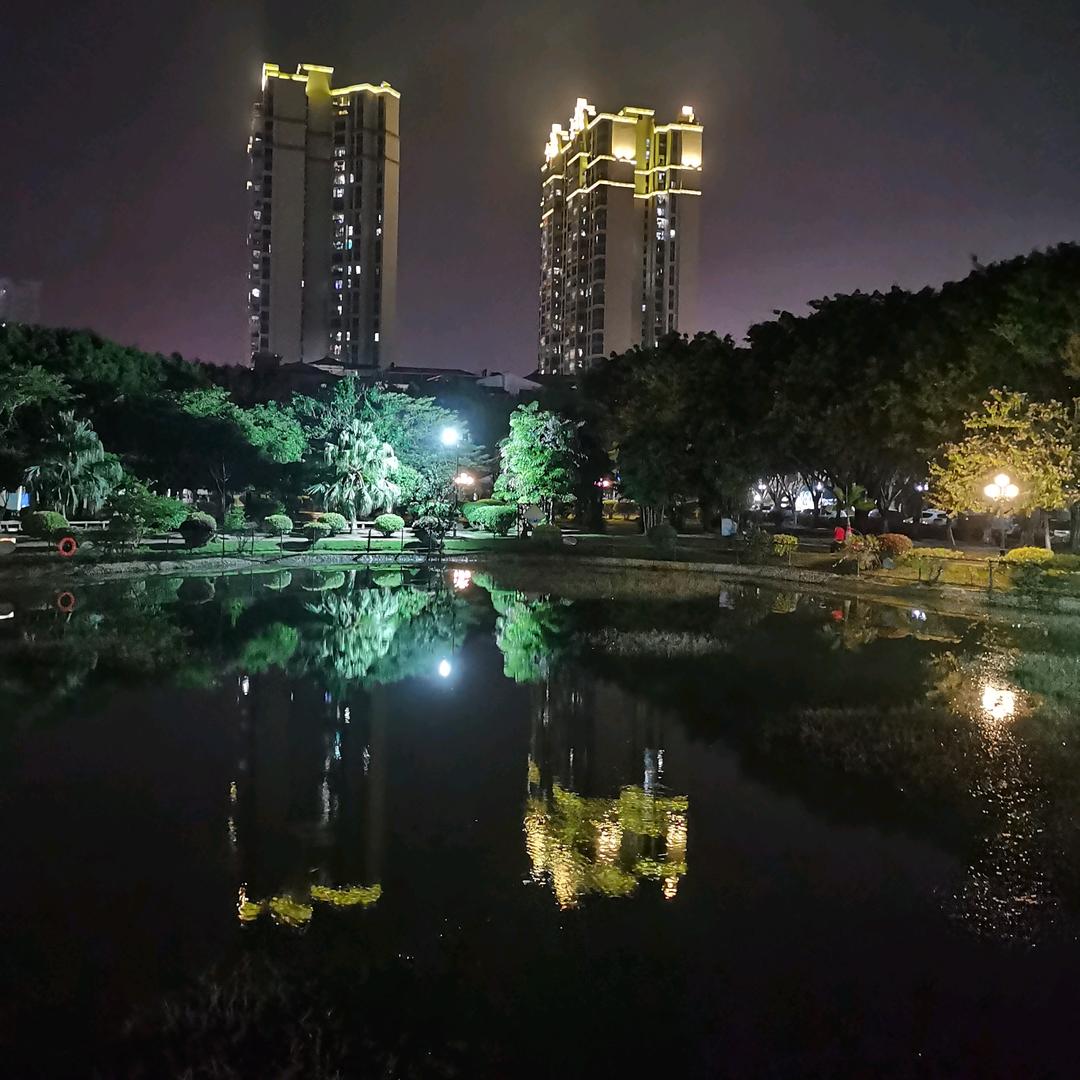 情以何堪