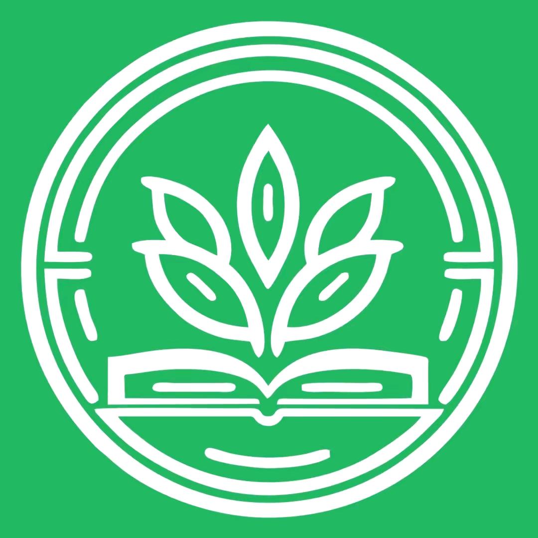 张老师小学学习规划