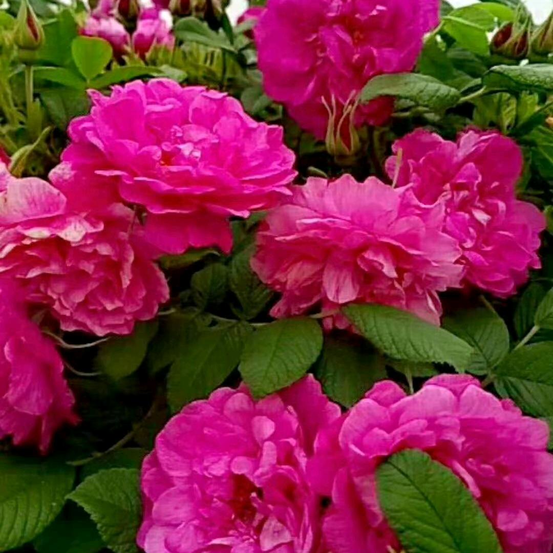 为你改变（单身）