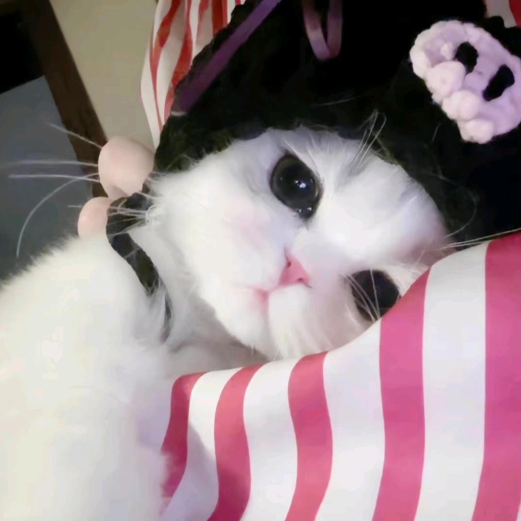 讨厌香菇.ᐟ.ᐟ