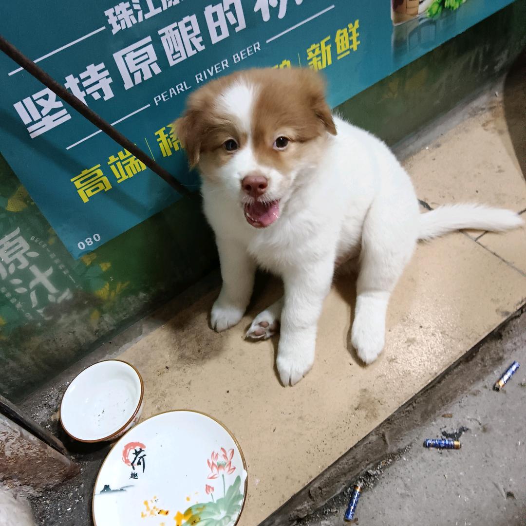 💋ꦿ乱陈一锅粥꧔ꦿ᭄࿐ᩚ
