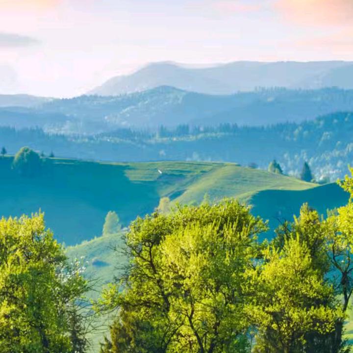 一生中最爱，普哥