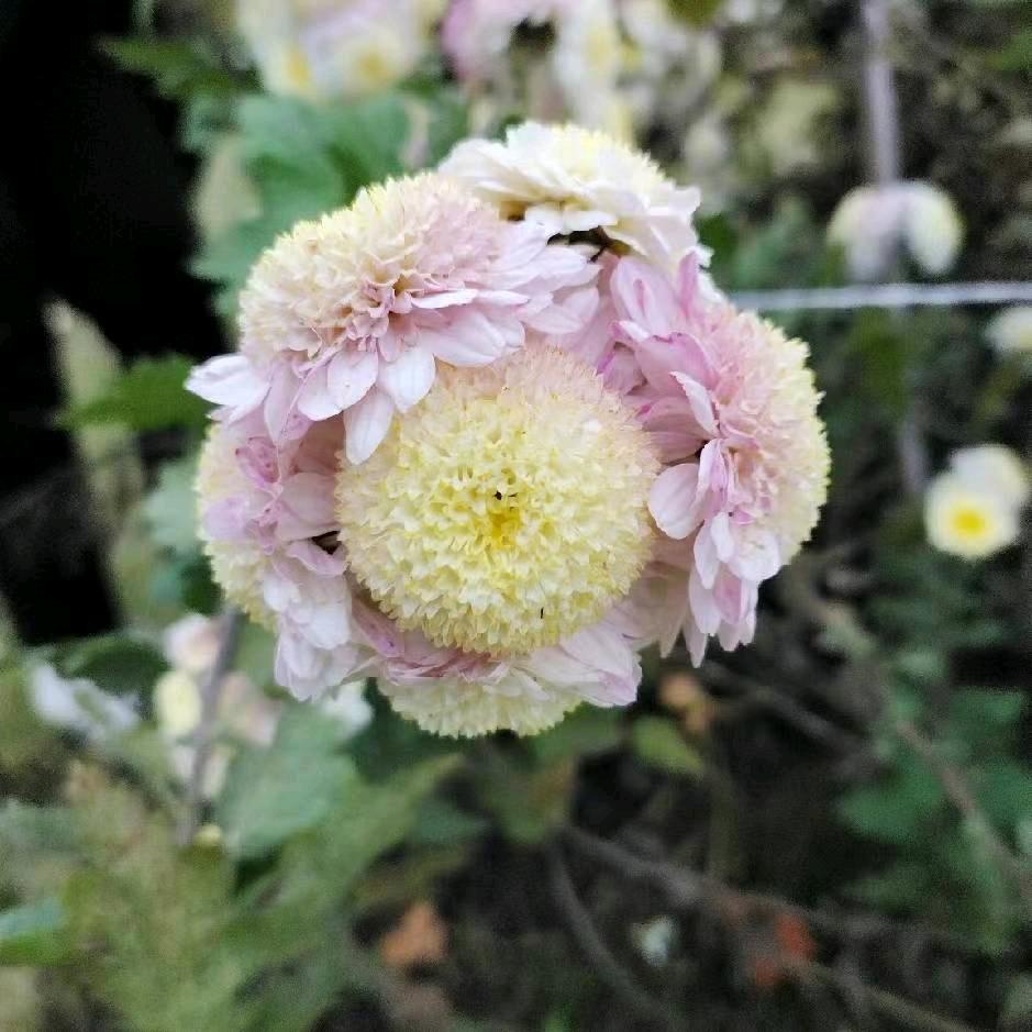 hug love  记录日常