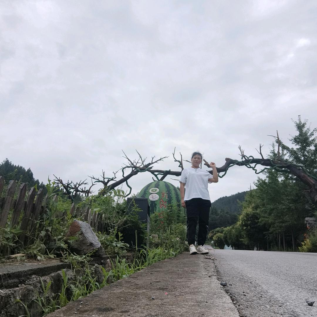 娅姐，追梦人，一起加油