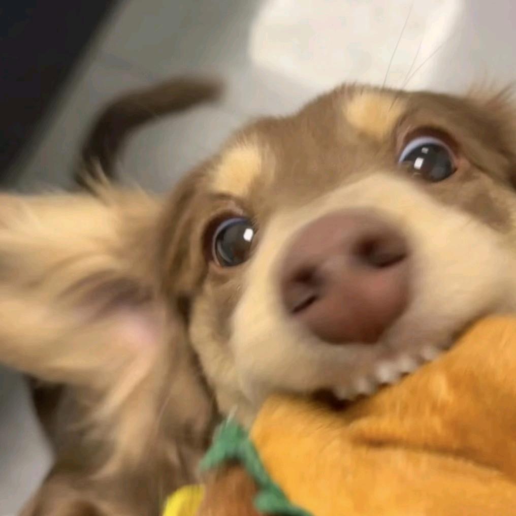 小妮