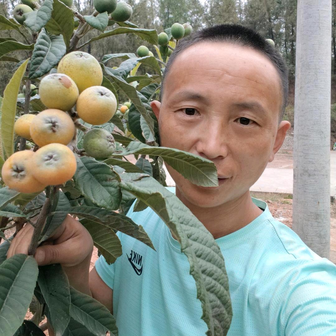 （乡村→摩迪哥剑门关2025年