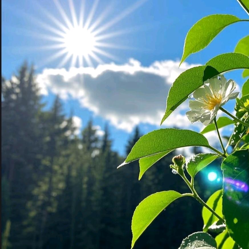 一路大大大大大晴天🌞