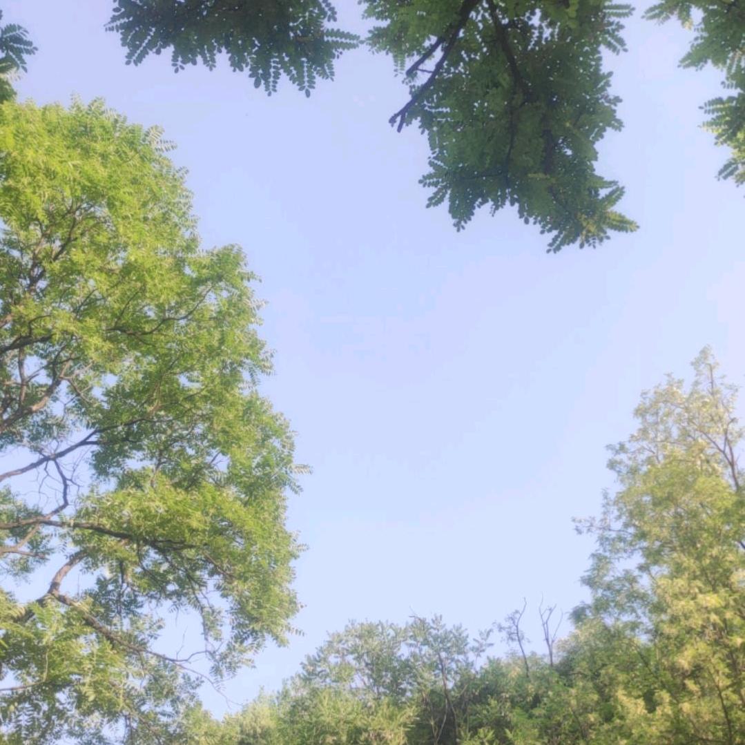 梦落梵净