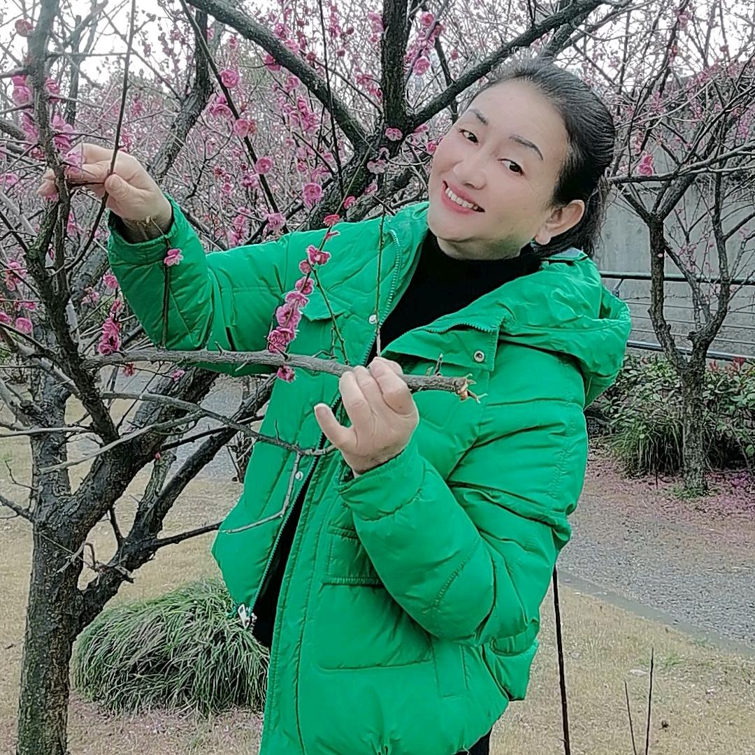 凤舞九天  好物推荐