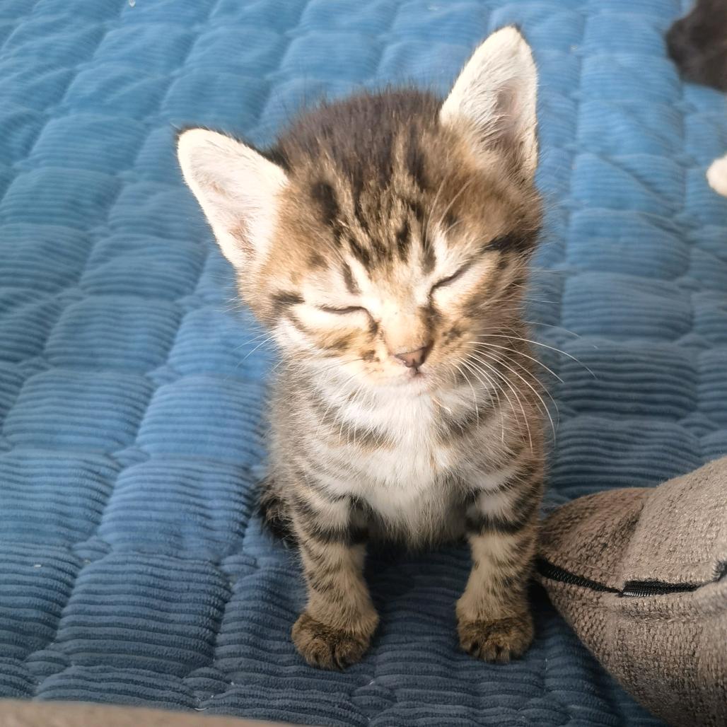 3d打印欣欣而悦