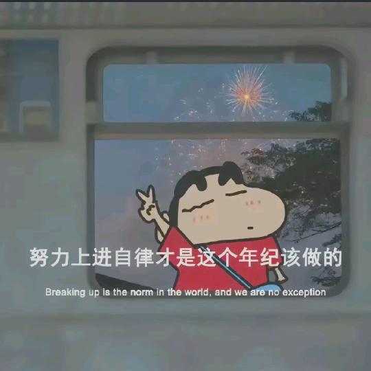 คค关你西红杮₍ᐢ..ᐢ₎ ִִ