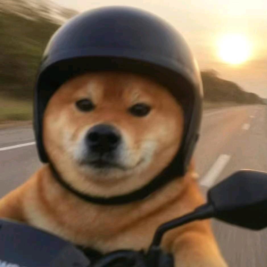 陌生人