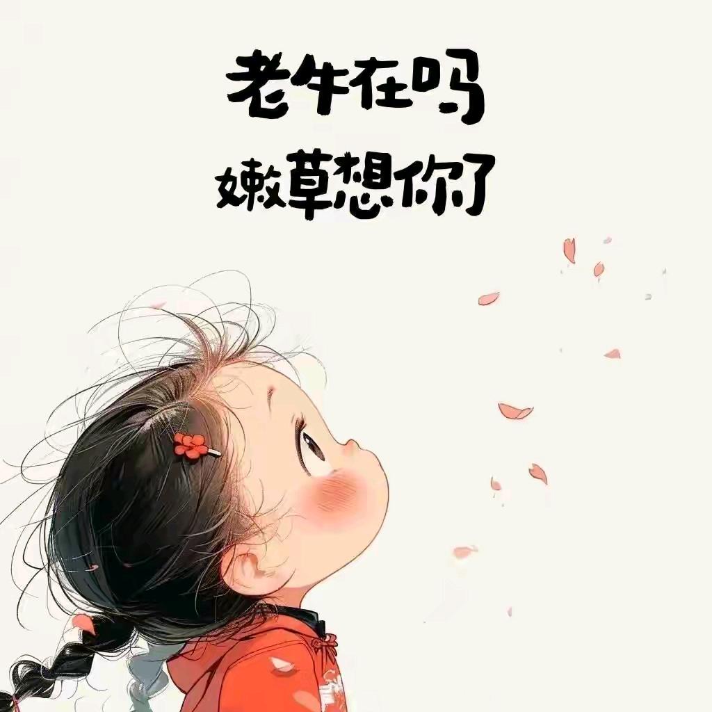 初一丫头