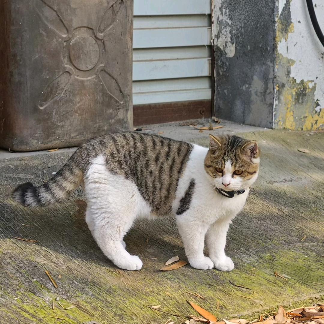 没有钱