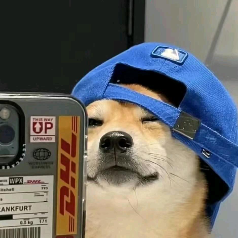 䨻䨻