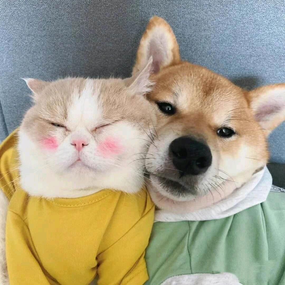 吃喝玩乐