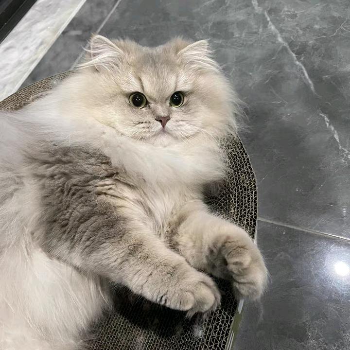 kk...