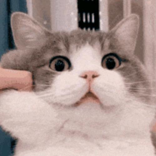 Wh