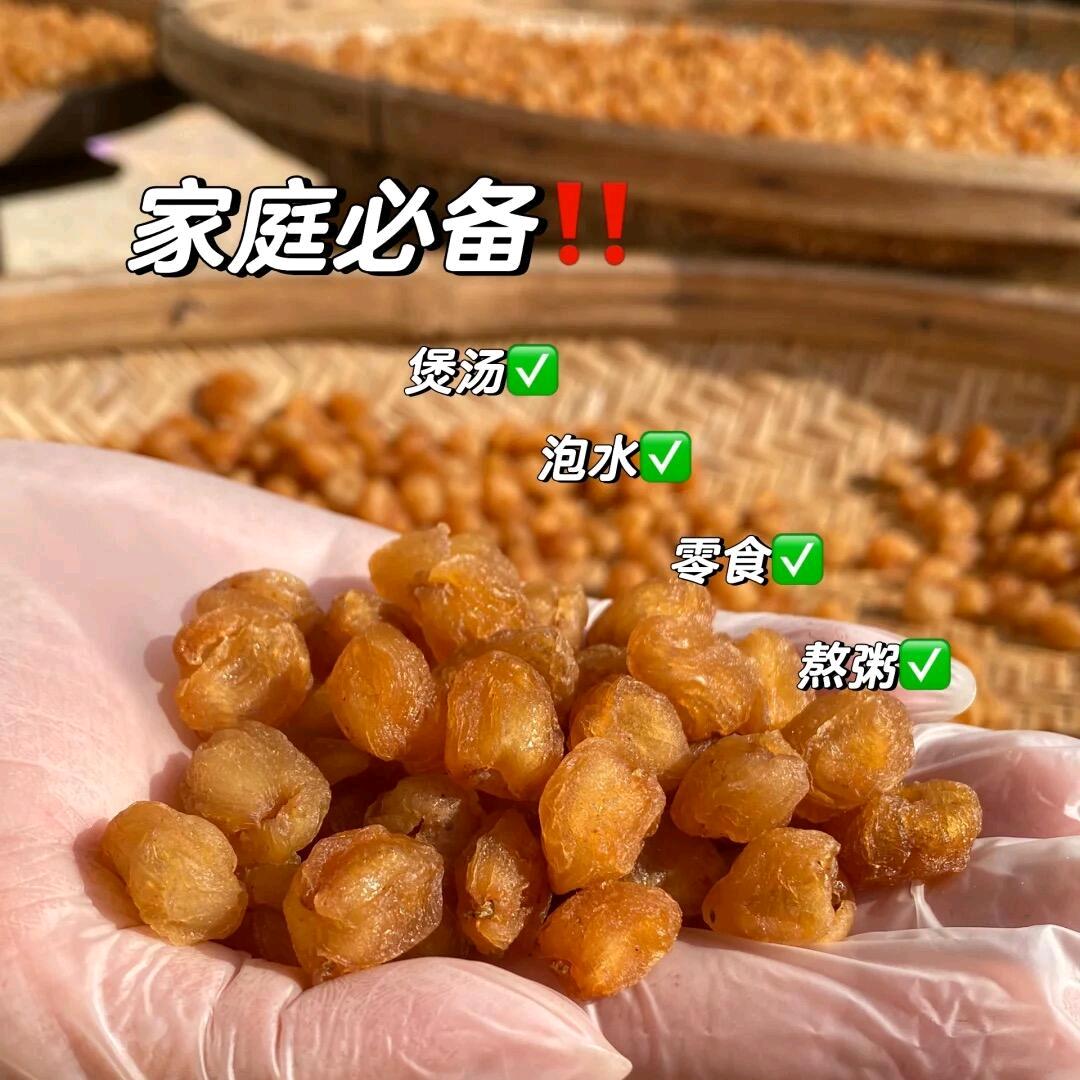 高州桂圆古树之乡