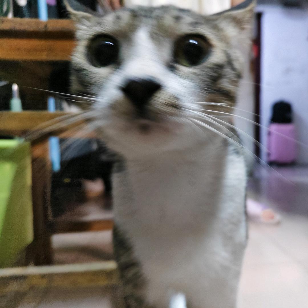 偏我恰逢春