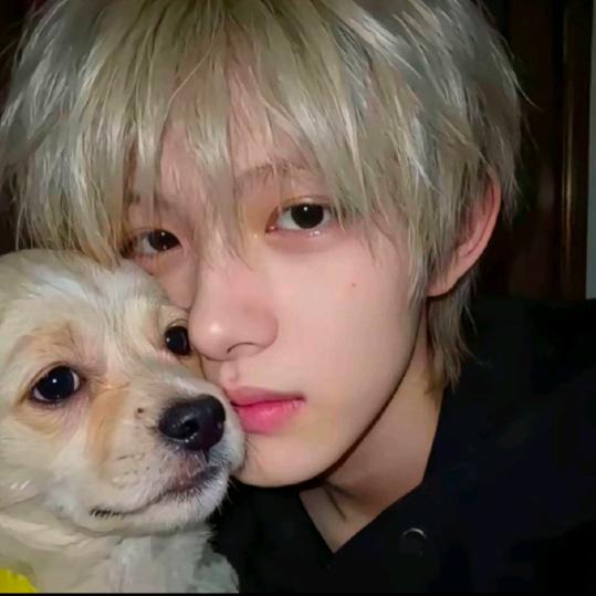 你将我困在回忆里