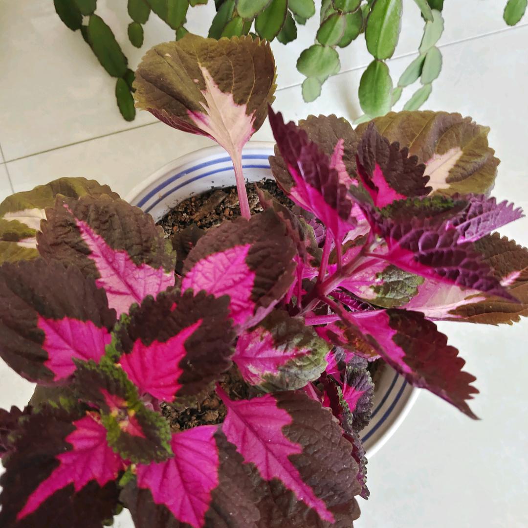 有你📿💎💞很幸福