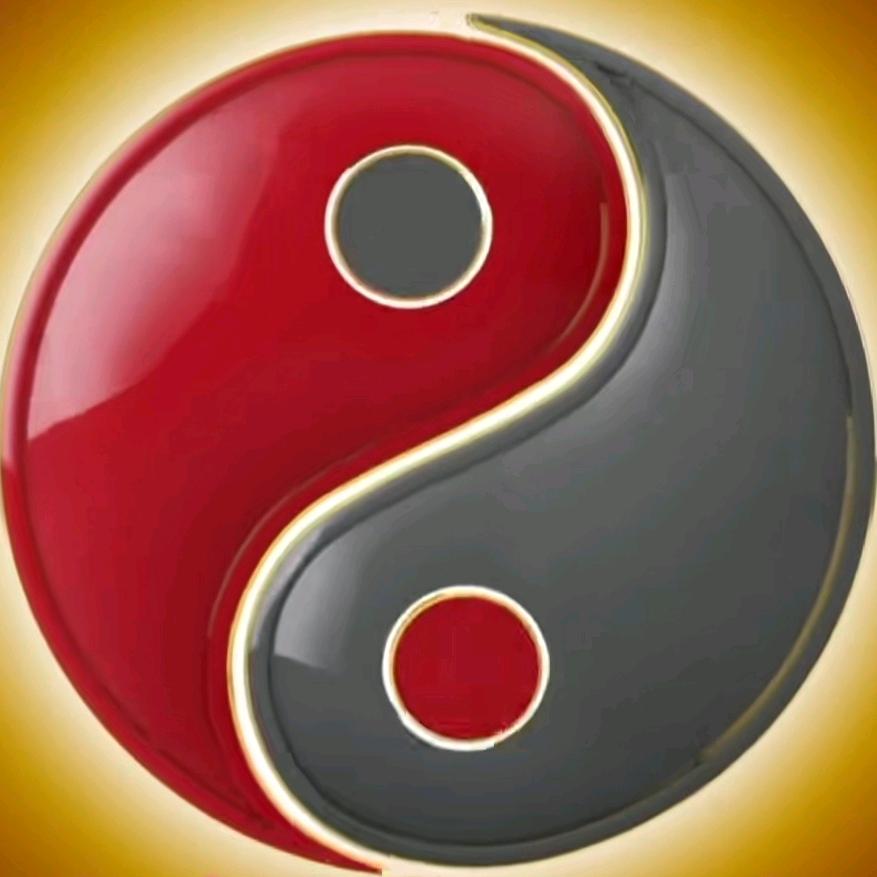 柄融的太极梦