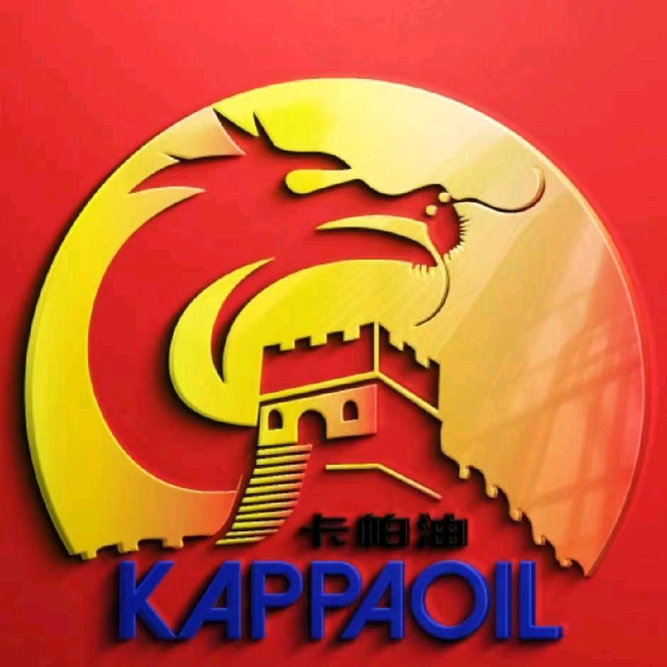 CAPA石油工业股份有限公司