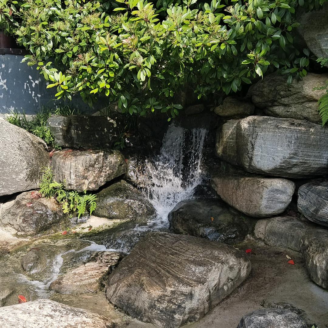 心静