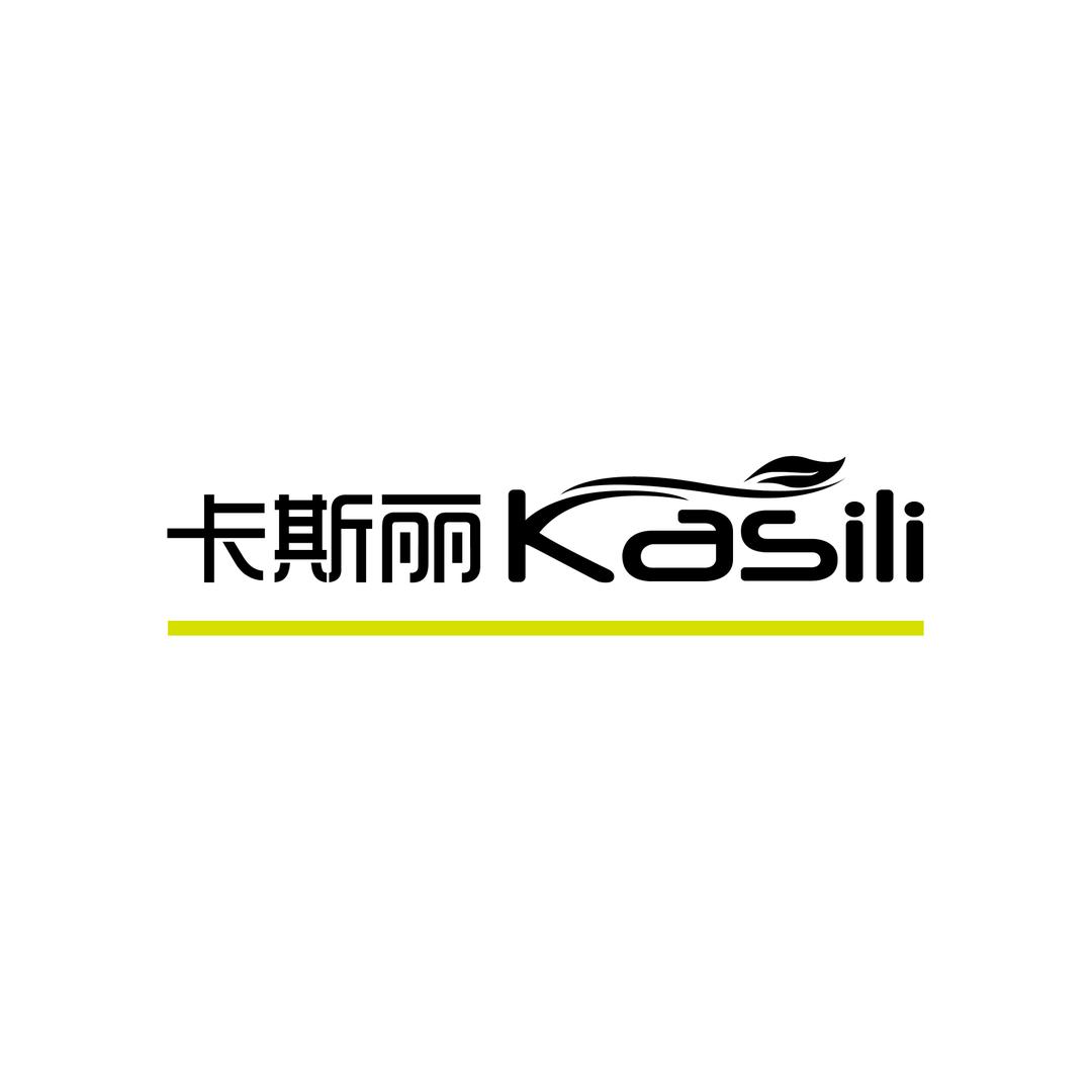卡斯丽牙刷口腔护理