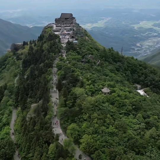 落叶纷飞