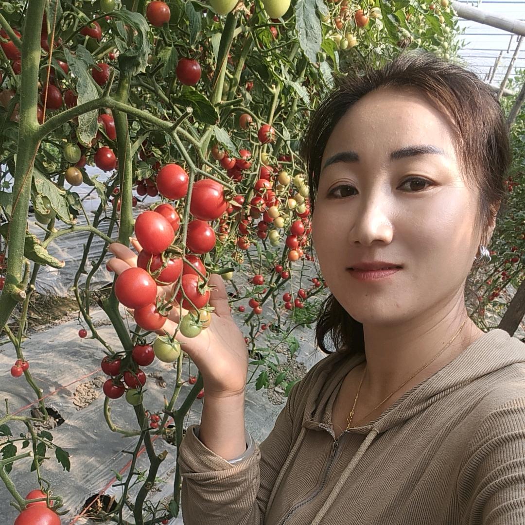 @顾友娟