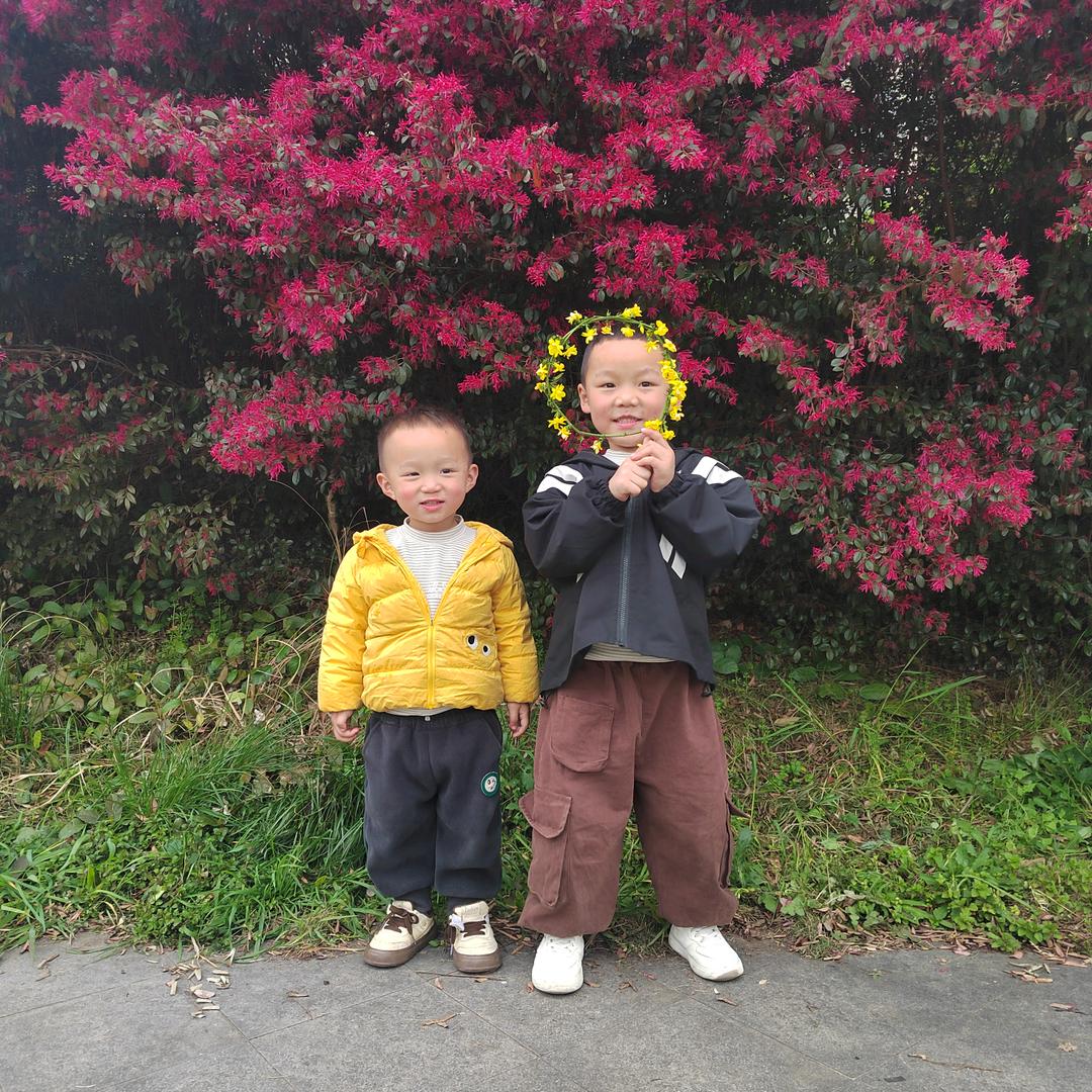 张大大