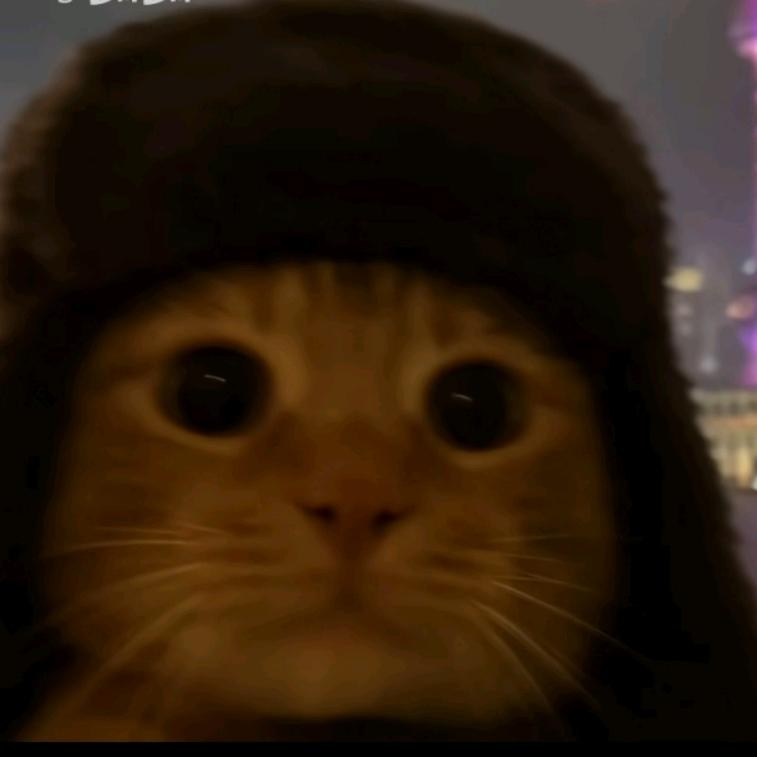 大俊俊