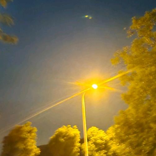 黔西桃李春小美