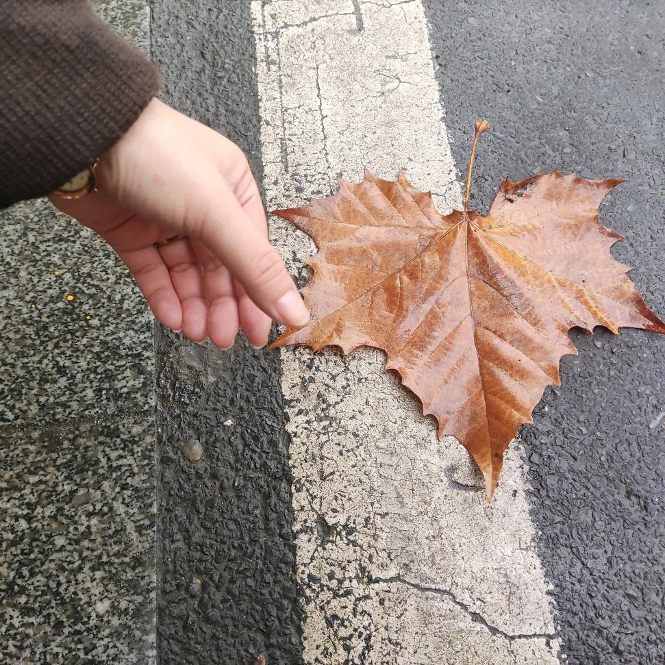 嗨！我是吴小姐