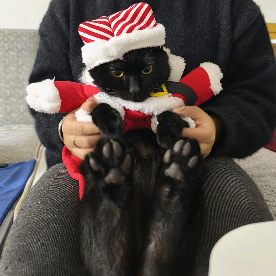 猛踹瘸子那条好腿