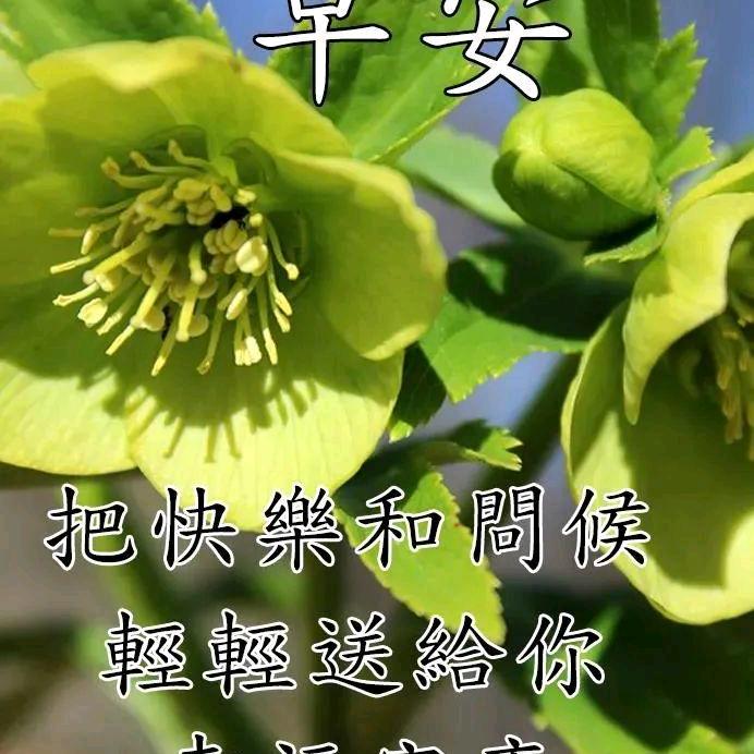 ☔️鱼