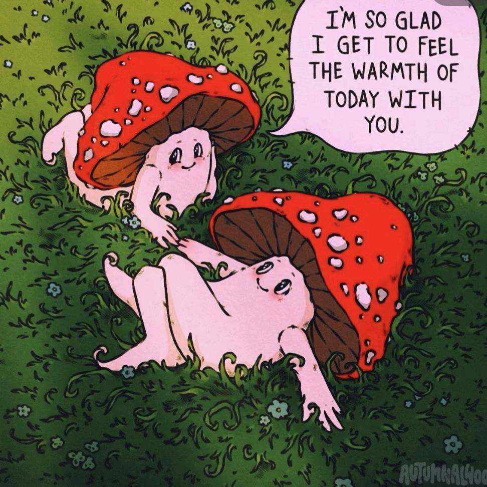 噼里啪啦玩玩具