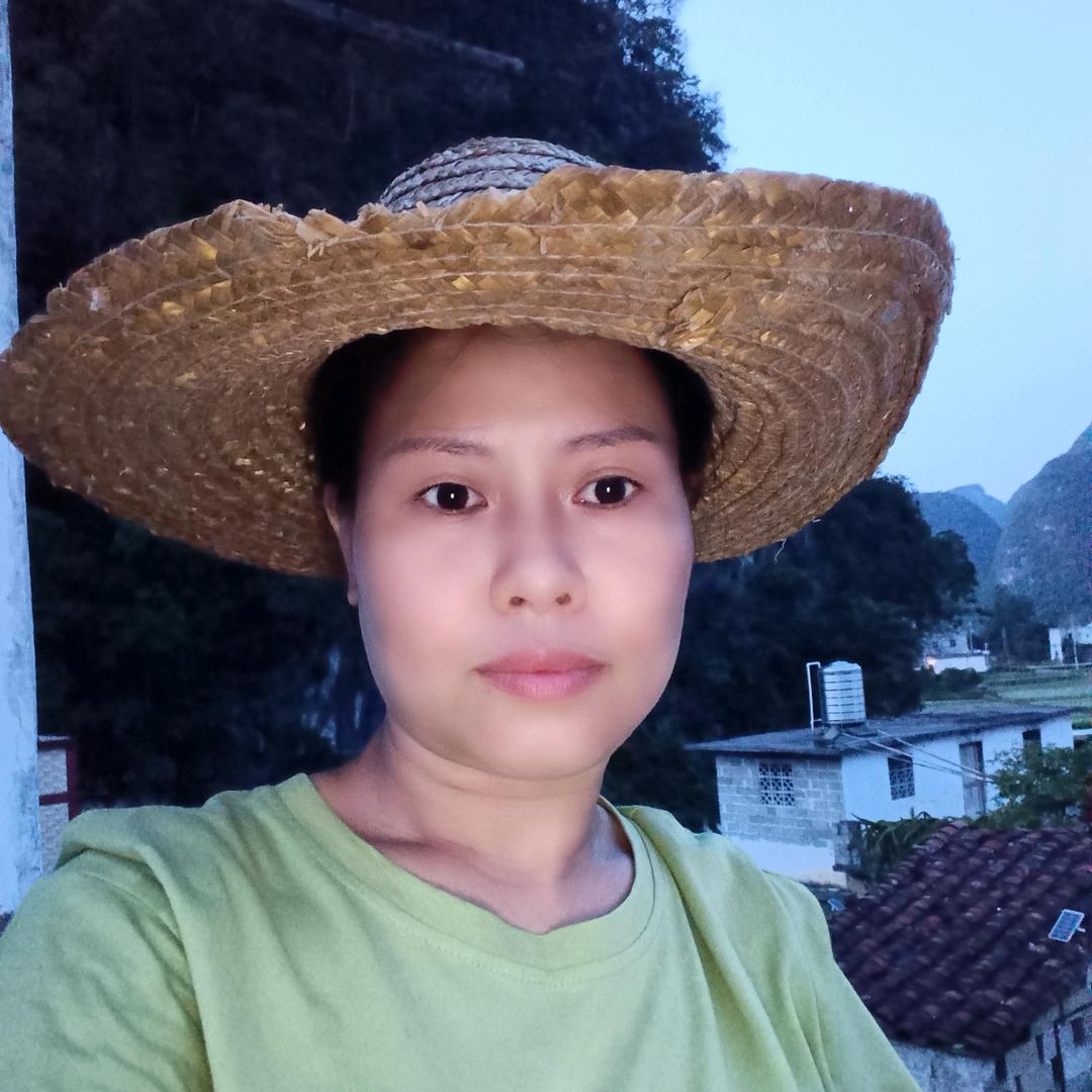 小青菜（首播）