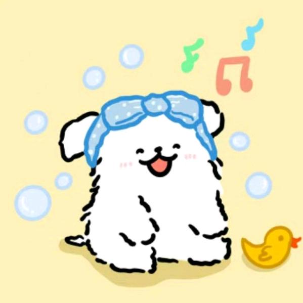 快乐小白