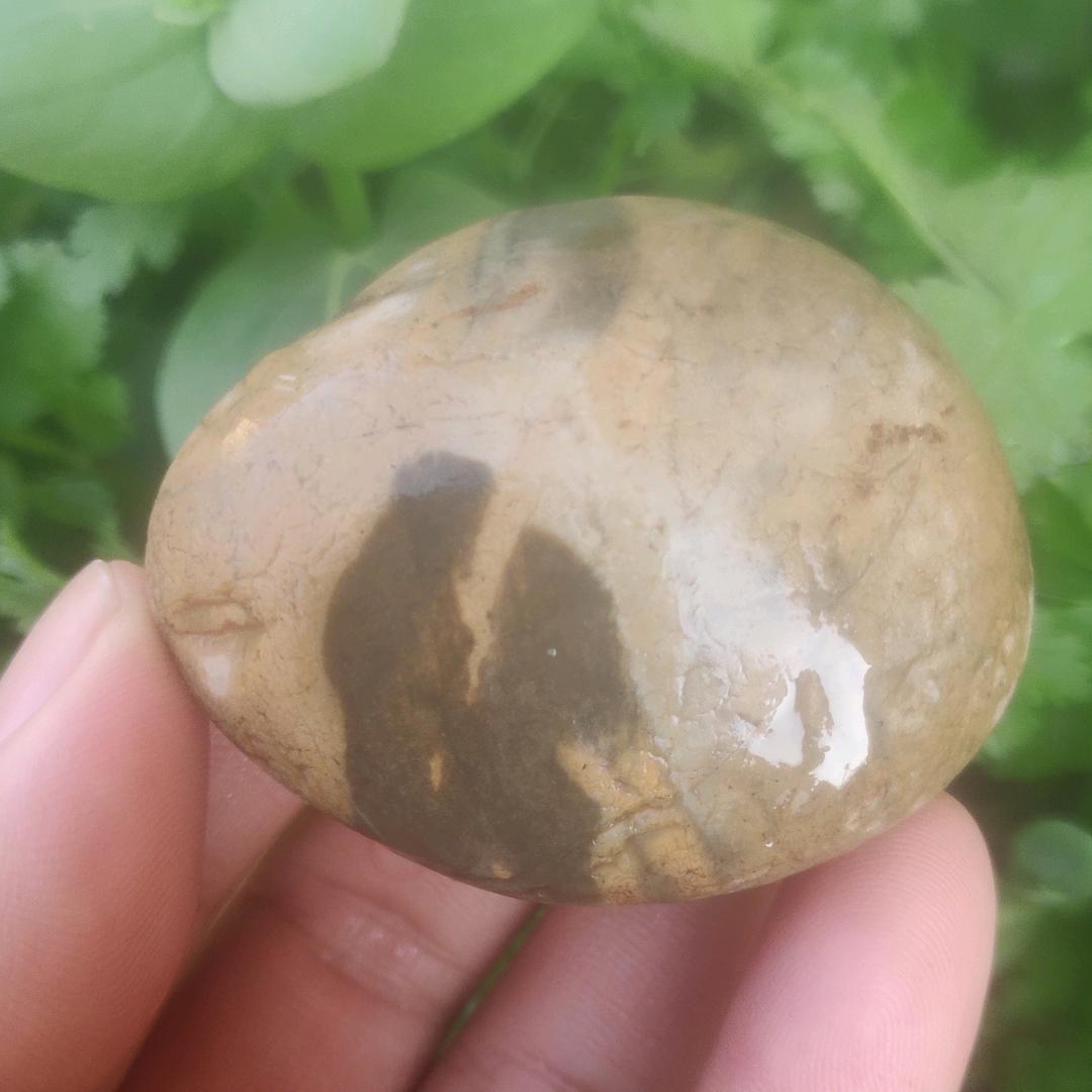 上古珍石