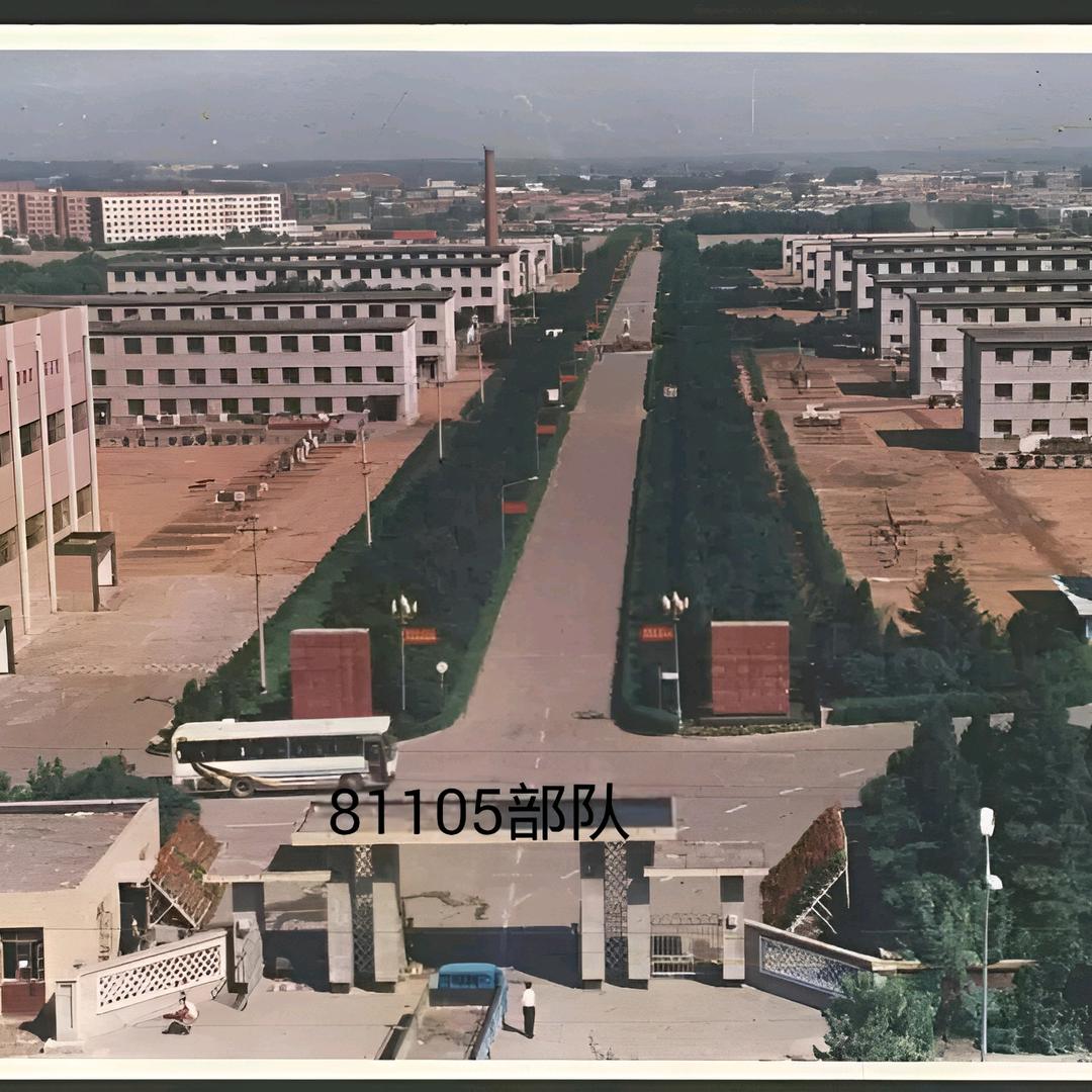 渝粤飞杨