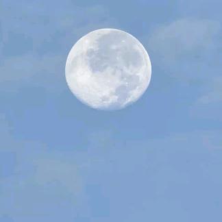 💫樂天