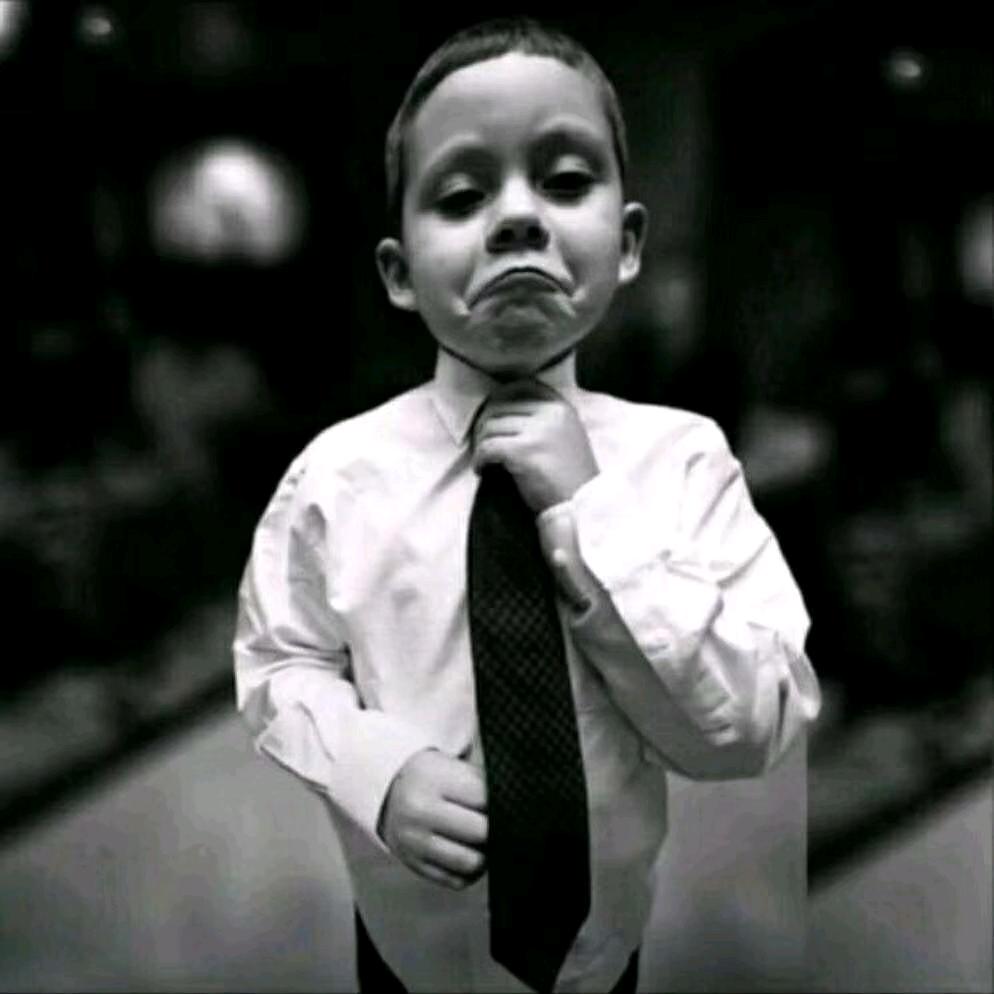 🍊 满目星 “何”